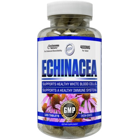 Echinacea