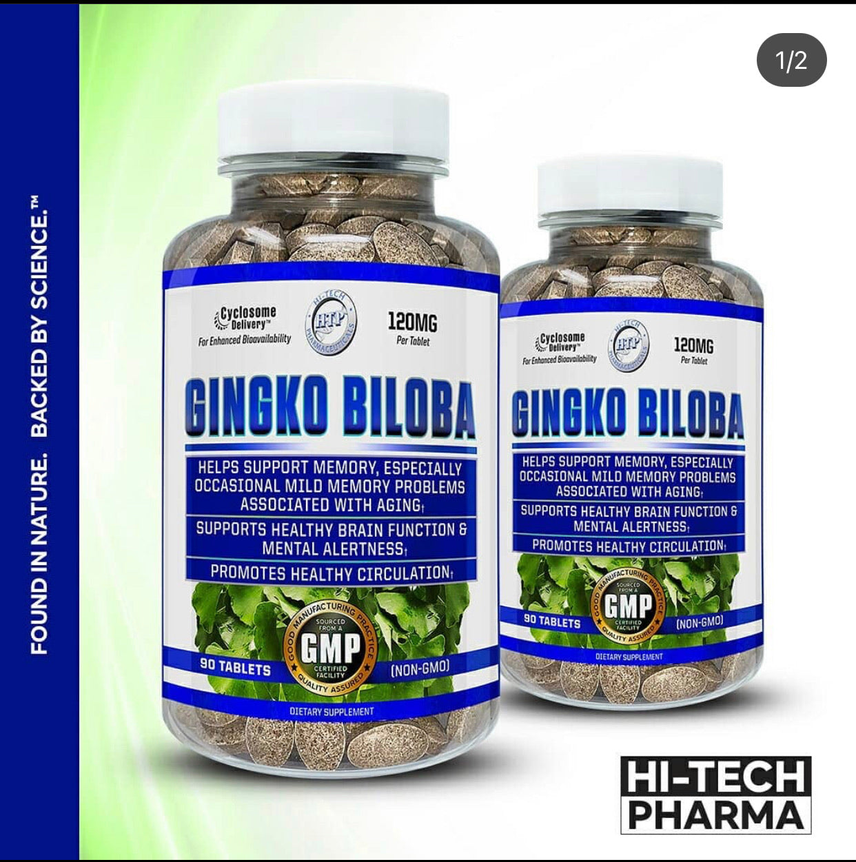 Ginkgo Biloba