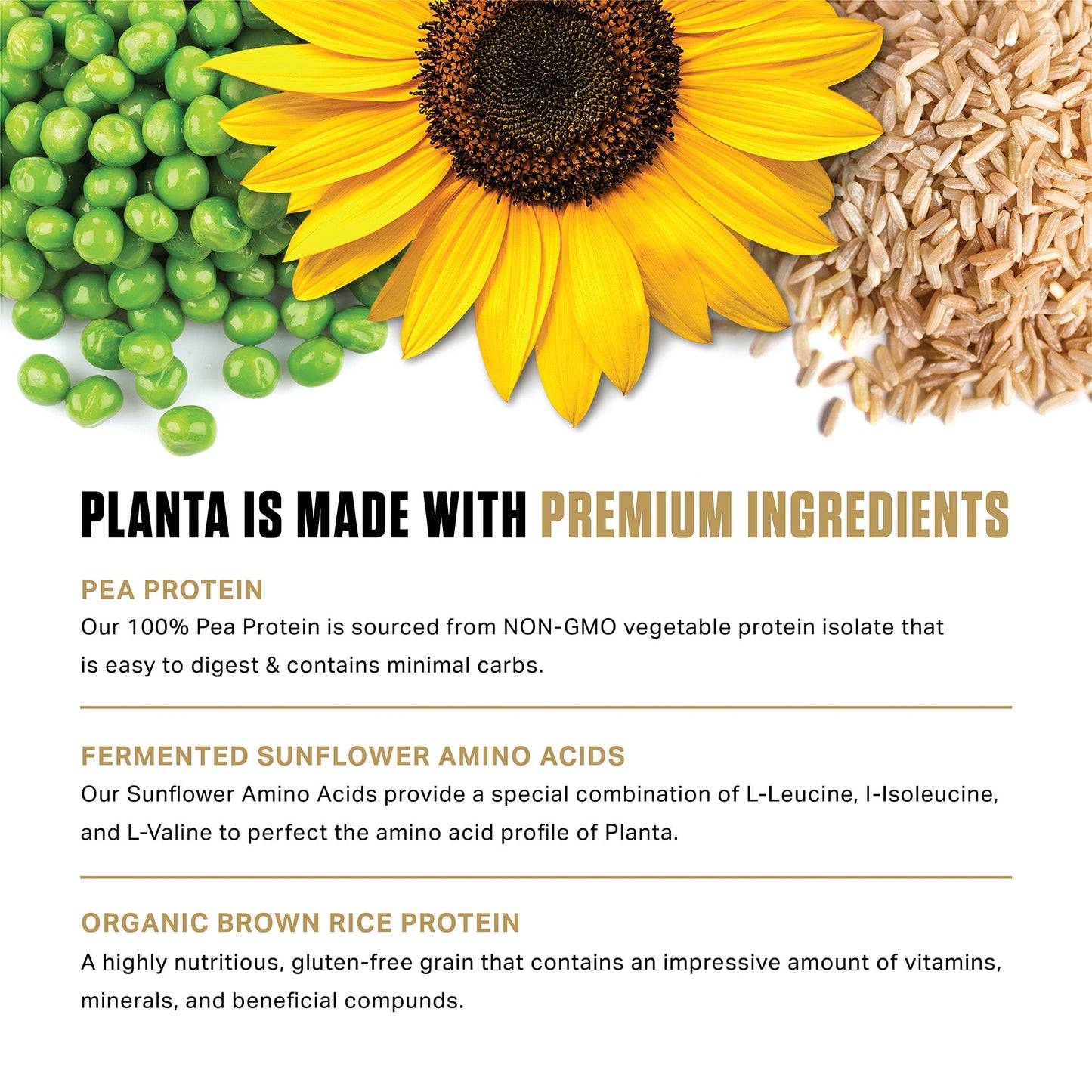 Planta® - Premium Plant Protein (25 Servings)